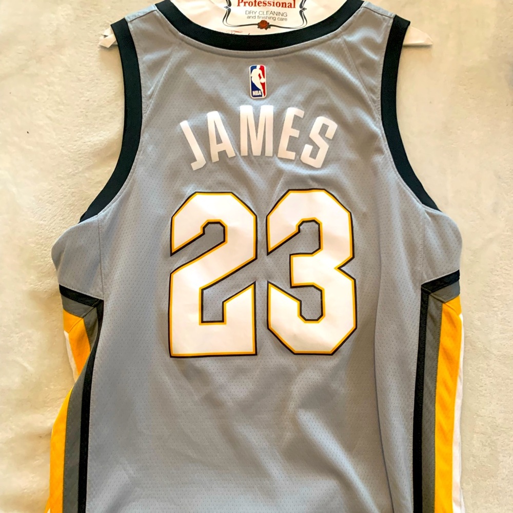 LeBron James 2018 NIKE City Jersey “The Land”
